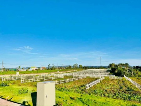 Đất nền Lâm Đồng mặt tiền đường 24m, thanh toán chỉ 239 triệu sở hữu ngay đất nền Lâm Đồng sổ sẵn