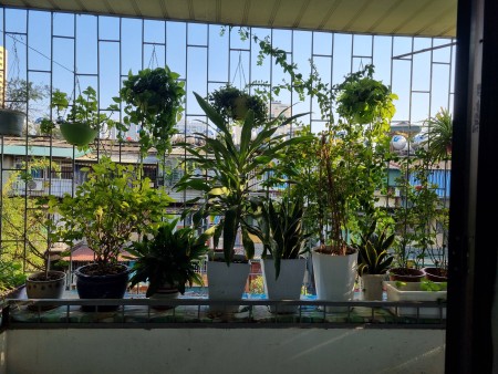 Cần bán căn hộ tập thể miễn trung gian tiện ích xung quanh đủ, ngay trung tâm tiện di chuyển