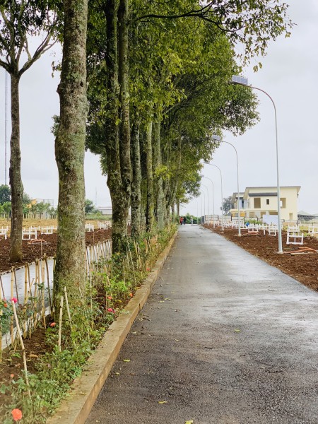 Đi đến slide 2