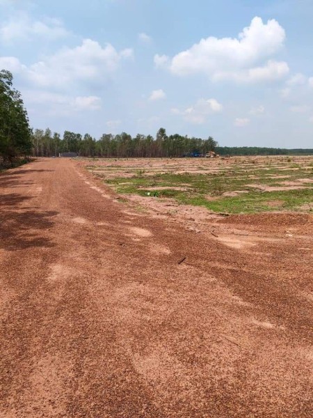 Kẹt tiền cần bán gấp đất Bình Phước, vị trí đẹp - 1000m đã có sổ