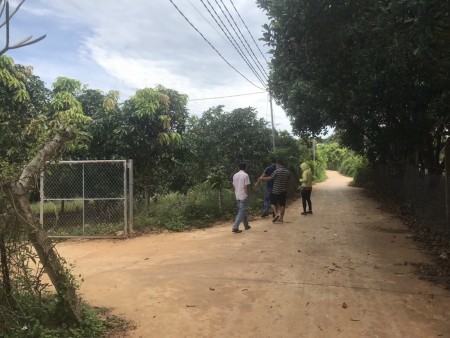 Đi đến slide 7