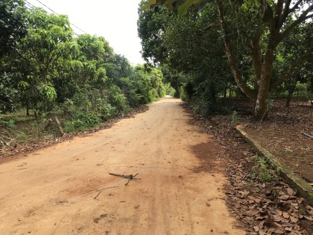 Đi đến slide 5