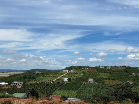 Đi đến slide 7