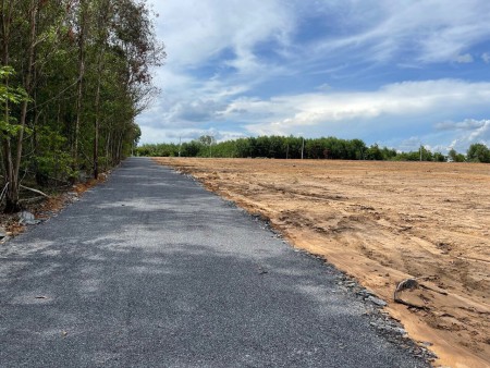 Cần Bán hơn 1000m2 ONT khu bàn cờ ấp 1 sau lưng UBND Xã Phước Bình - Long Thành, giá f0