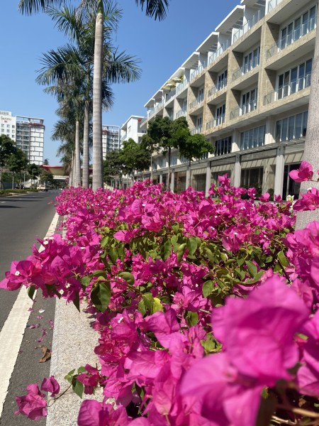 Đi đến slide 7