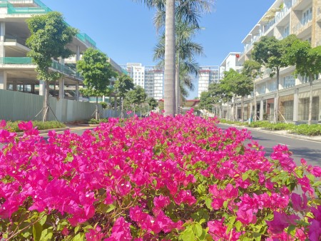 Đi đến slide 6