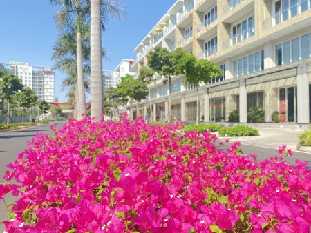 Đi đến slide 3
