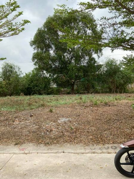 Mùa dịch cần tiền bán lỗ 2 dãy trọ và lô đất 300m2 chính chủ - giá rẻ đầu tư sinh lời cao