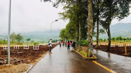 Đi đến slide 8