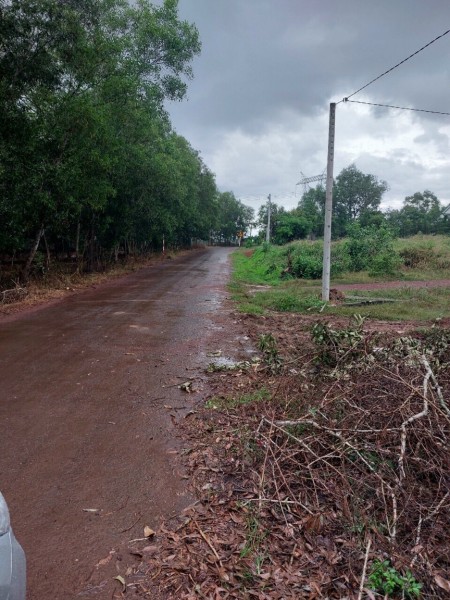 Đất nền 1000m đồng Phú bình Phước sổ sẵn bàn giao sang tên công chứng ngay