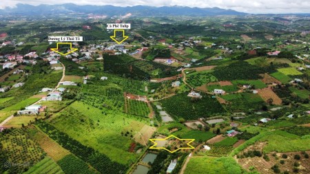 Đất view hồ ở bảo lộc giá 2,5 triệu/m2 sổ hồng pháp lý rõ ràng, liên hệ 0933293183