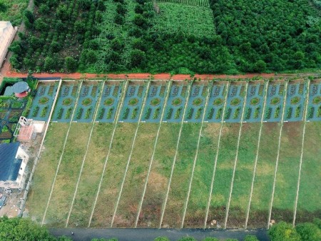 Đi đến slide 2