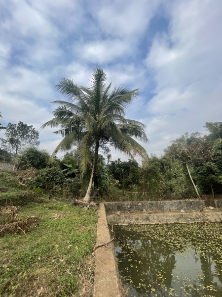 Đi đến slide 1