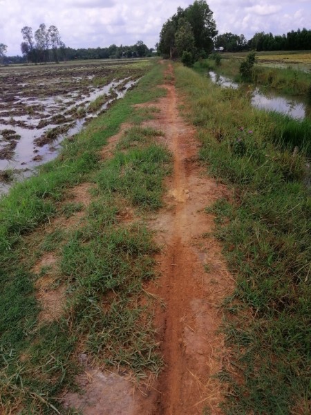 Đi đến slide 6