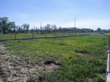 Bán đất vườn Củ Chi giá tốt diện tích lớn có Sổ hồng riêng khu dân cư đông đúc, giá tốt