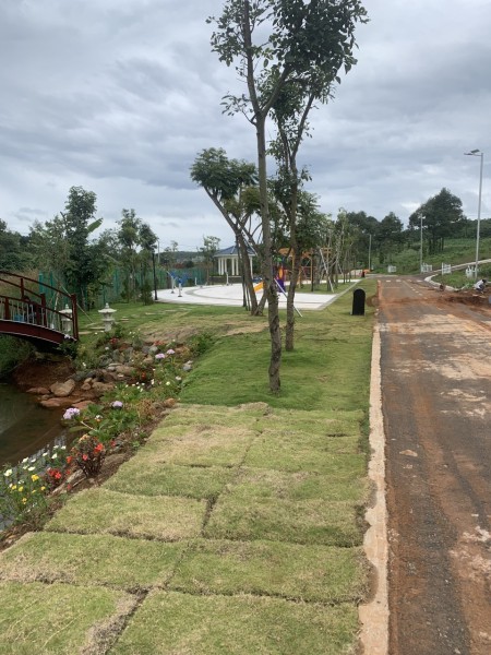 Đi đến slide 10