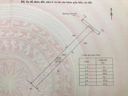 Chính chủ bán đất full thổ cư dtsd 250m2 tại thành phố Tân An tỉnh Long An, giá tốt đầu tư