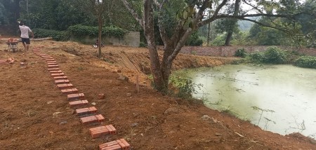 Đi đến slide 6