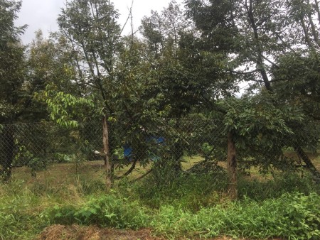 Đi đến slide 10
