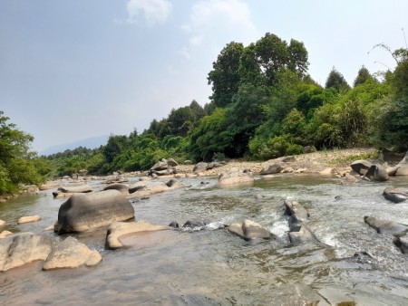 Đi đến slide 5