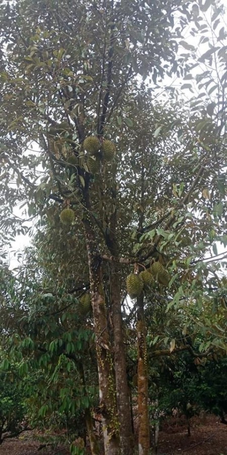 Đi đến slide 6