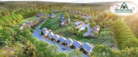Biệt thự nghĩ dưỡng sinh thái view rừng thông săn mây tiện ích đầy đủ, khu dân cư đông đúc