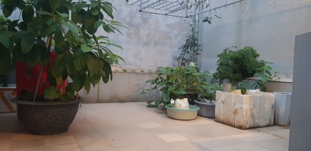 Đi đến slide 5
