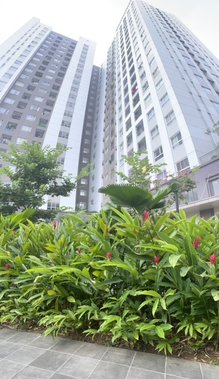 Đi đến slide 11