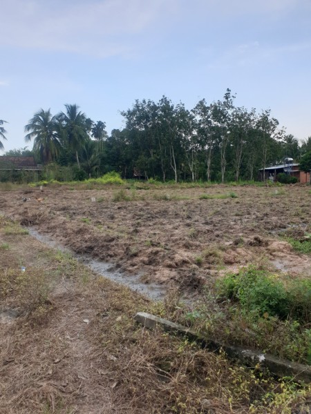 Bán lô đất chính chủ siêu lợi nhuận tại Gò Dầu Tây Ninh, giá bán chỉ 259 triệu, pháp lý đủ