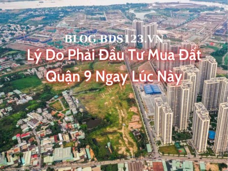 Ảnh bài viết: Lý do phải đầu tư mua đất quận 9 ngay lúc này