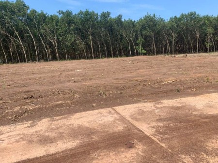 Đất nền Lộc Thịnh - Lộc Ninh - Bình Phước giá bán chỉ 465 triệu/nền pháp lý chính chủ