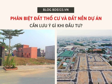 Phân biệt đất thổ cư và đất nền dự án. Cần lưu ý gì khi đầu tư?