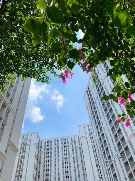Đi đến slide 18