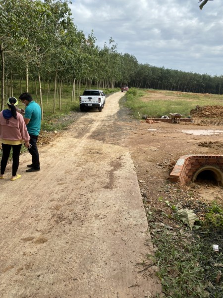 Đi đến slide 9
