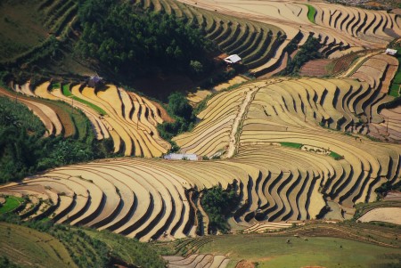 Đi đến slide 6