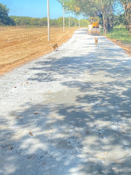 Đi đến slide 4