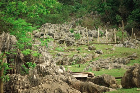 Đi đến slide 3