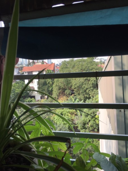 Dy nhất Tứ Liên 30m2 x 5 tầng đúc lô góc view đẹp ngõ x máy tránh, giá bán chỉ 3.2tỷ