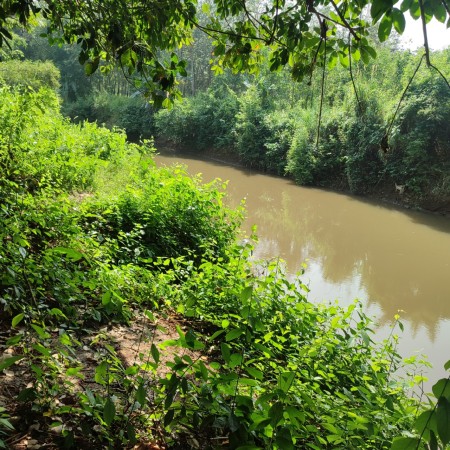 Bán lô đất diện tích 851m2 đất vườn view sông, đường hiện hữu, cách QL.1A chỉ 9km