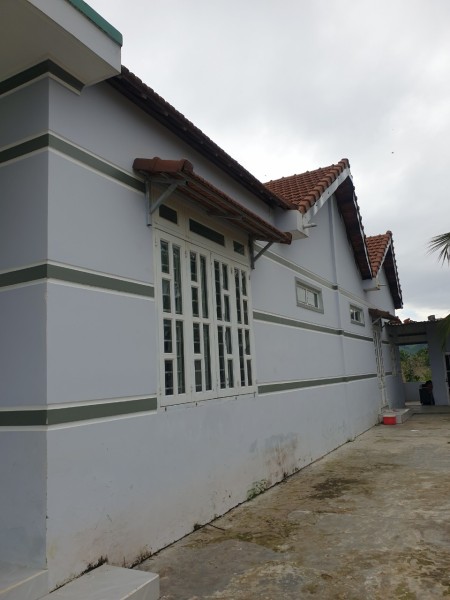 Bán nhà mới xây diện tích sử dụng 500m² chỉ 999 triệu khu dân cư đông đúc, pháp lý chính chủ