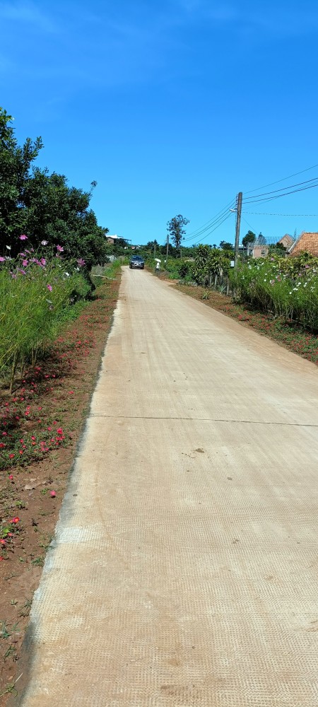 Đi đến slide 6