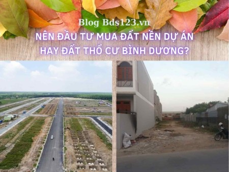 Nên đầu tư mua đất nền dự án hay đất thổ cư Bình Dương?