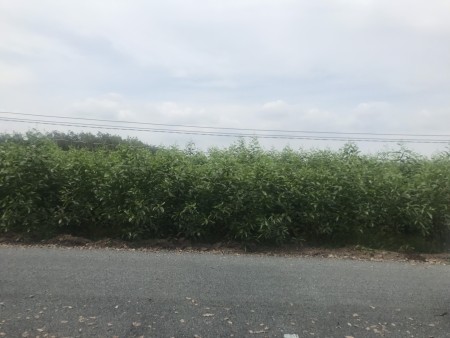 Quỹ đất 1.1ha, mặt tiền đường liên Xã Diên Đồng liên hệ, ngân hàng hỗ trợ vay, giá tốt
