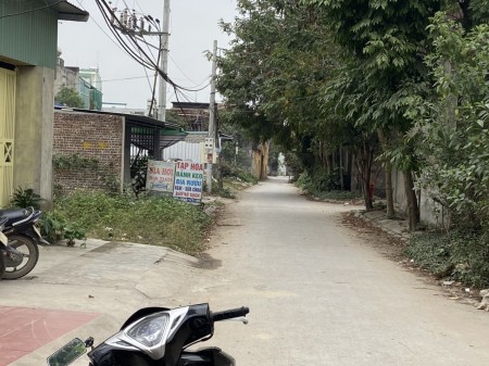 Bán lô đất đẹp 61m2 tại Quỳnh Hoàng, Nam Sơn, An Dương.