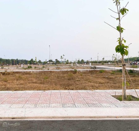 Đi đến slide 7