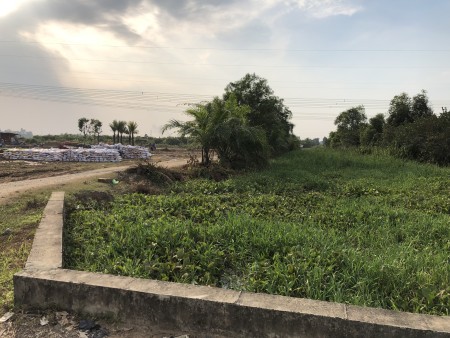 Đi đến slide 11