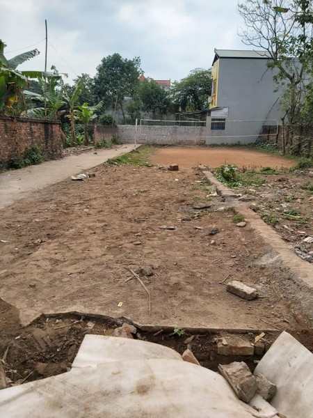Đất Phượng Đồng Phụng Châu mặt ngõ thông ô tô đỗ cổng, lô góc khu vực an ninh, yên tĩnh