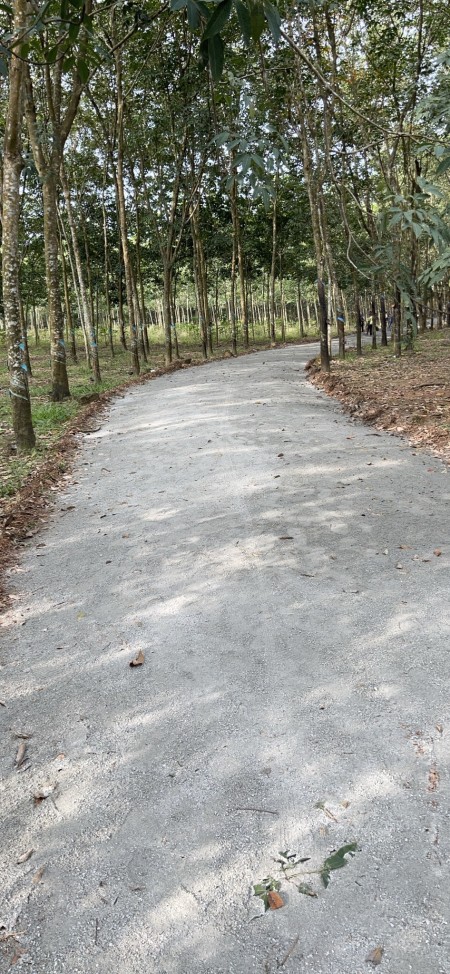 Đi đến slide 7