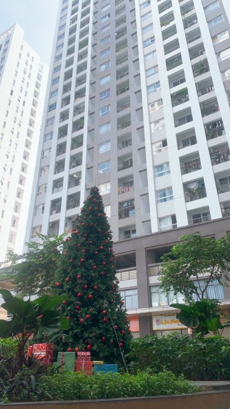 Đi đến slide 11