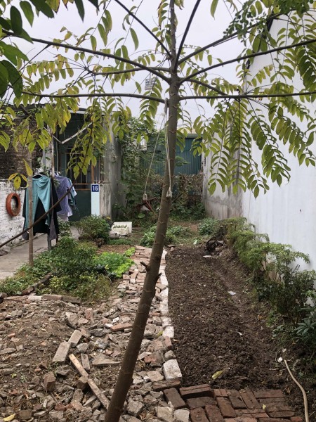 Bán gấp lô đất Mỹ Đình, diện tích sử dụng 81m2, giá chỉ 16 triệu/m2, nhiều chính sách ưu đãi